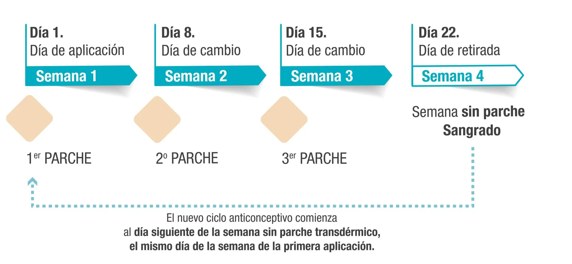 banner_calendario_1920x1920px-01-ca224c7c-1920w